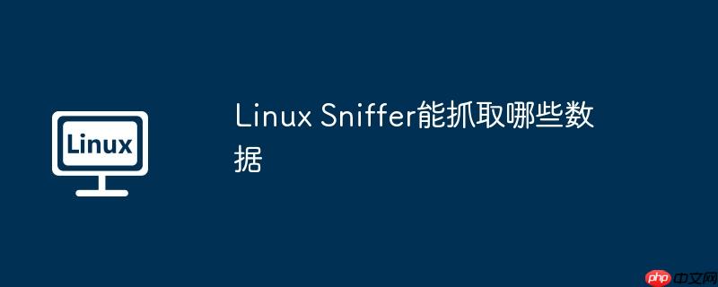 Linux Sniffer能抓取哪些数据