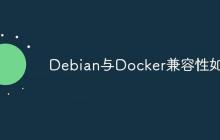 Debian与Docker兼容性如何