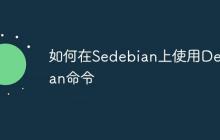 如何在Sedebian上使用Debian命令