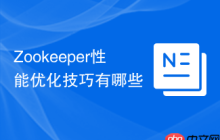 Zookeeper性能优化技巧有哪些