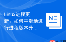Linux进程更新：如何平滑地进行进程版本升级
