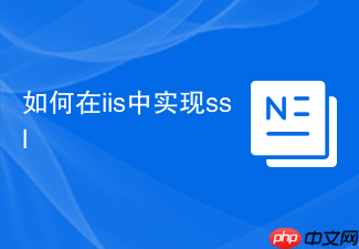 如何在iis中实现ssl