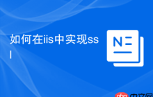 如何在iis中实现ssl