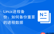 Linux进程备份：如何备份重要的进程数据