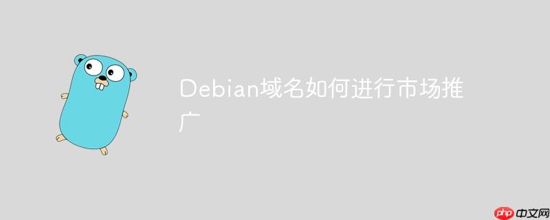 Debian域名如何进行市场推广-小浪学习网
