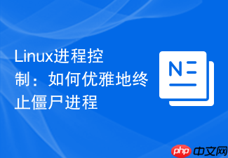 Linux进程控制：如何优雅地终止僵尸进程