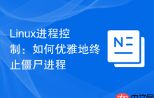 Linux进程控制：如何优雅地终止僵尸进程