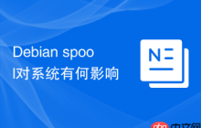 Debian spool对系统有何影响