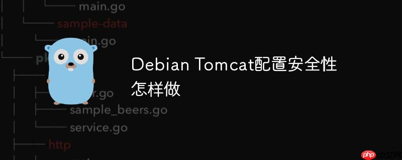 Debian Tomcat配置安全性怎样做-小浪学习网