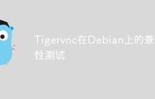 Tigervnc在Debian上的兼容性测试