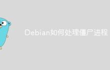 Debian如何处理僵尸进程