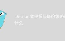Debian文件系统备份策略是什么
