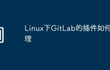 Linux下GitLab的插件如何管理