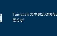 Tomcat日志中的500错误原因分析