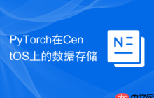 PyTorch在CentOS上的数据存储