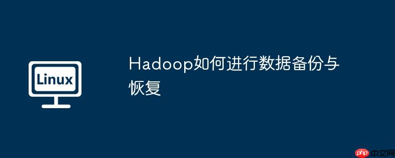 Hadoop如何進行數據備份與恢復