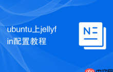 ubuntu上jellyfin配置教程
