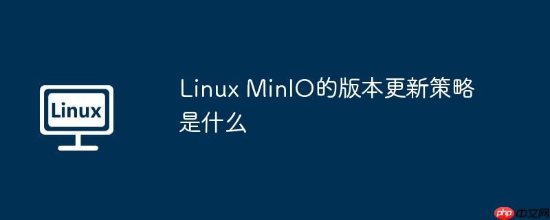 linux minio的版本更新策略是什么