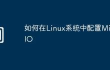 如何在Linux系统中配置MinIO