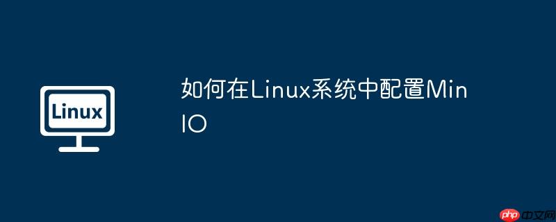 如何在linux系统中配置minio