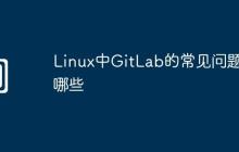 Linux中GitLab的常见问题有哪些