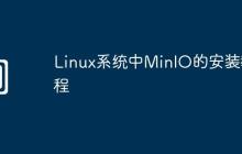 Linux系统中MinIO的安装教程