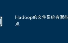 Hadoop的文件系统有哪些特点
