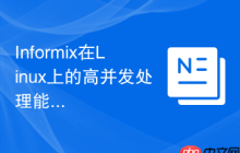 Informix在Linux上的高并发处理能力如何
