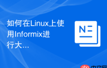如何在Linux上使用Informix进行大数据分析
