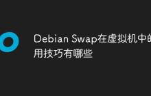 Debian Swap在虚拟机中的使用技巧有哪些