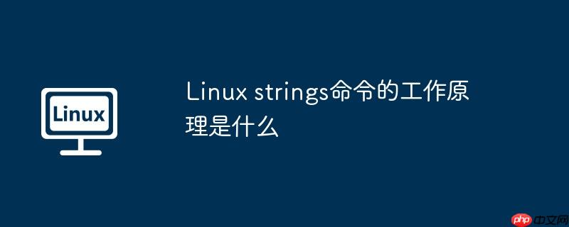 linux strings命令的工作原理是什么
