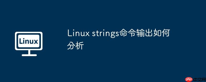 linux strings命令输出如何分析