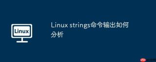 linux strings命令输出如何分析