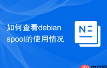 如何查看debian spool的使用情况