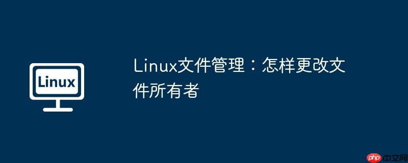 Linux文件管理：怎样更改文件所有者