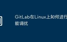GitLab在Linux上如何进行性能调优