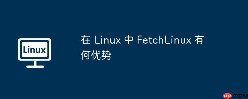 在 linux 中 fetchlinux 有何优势