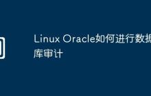 Linux Oracle如何进行数据库审计