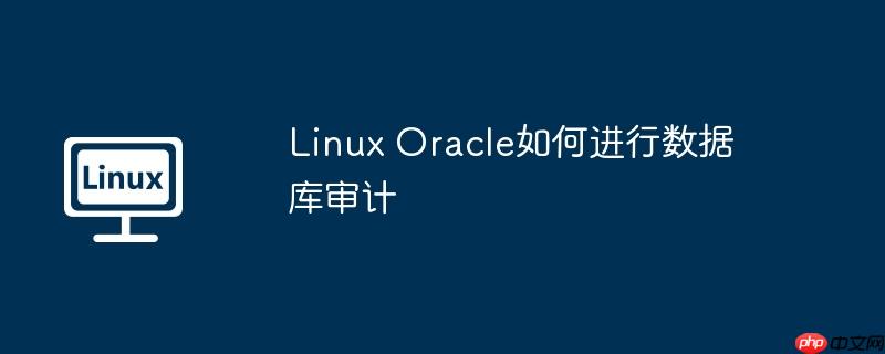 Linux Oracle如何進(jìn)行數(shù)據(jù)庫(kù)審計(jì)-小浪學(xué)習(xí)網(wǎng)