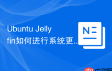 Ubuntu Jellyfin如何进行系统更新