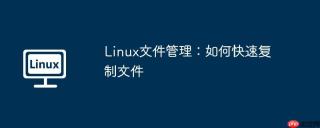 linux文件管理:如何快速复制文件