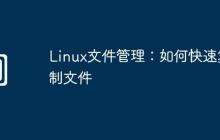 Linux文件管理：如何快速复制文件