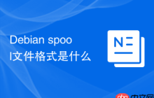 Debian spool文件格式是什么