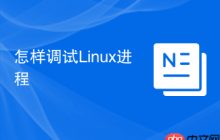 怎样调试Linux进程