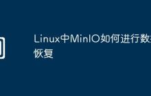 Linux中MinIO如何进行数据恢复