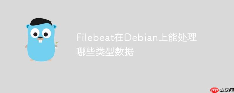 Filebeat在Debian上能處理哪些類型數據-小浪學習網