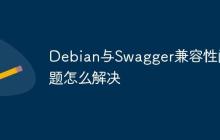 Debian与Swagger兼容性问题怎么解决