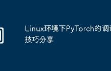 Linux环境下PyTorch的调试技巧分享