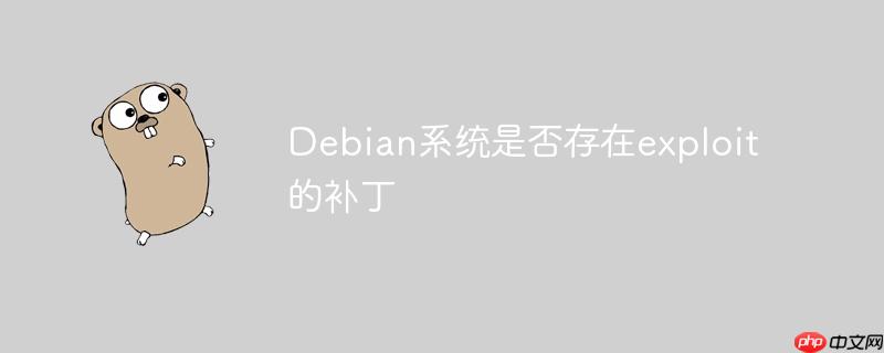 Debian系统是否存在exploit的补丁-小浪学习网