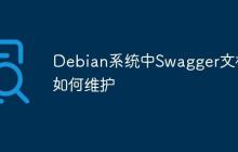Debian系统中Swagger文档如何维护
